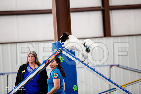 _CL_1556-PapTulsaMar2015-HR3