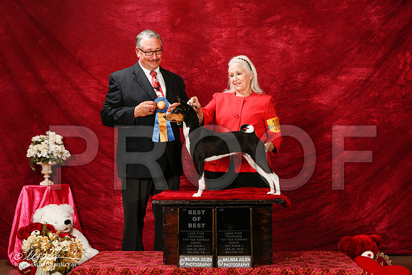 _ST_2184-2-BeltonJan2015-HR3