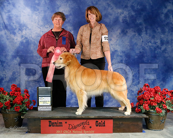 GunDog-9084-WFOct2013-HR