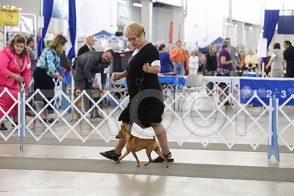 _HR_1353-DallasJul2014-HR3