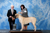 Mastiff #6 Sun BOB Slone Elise Judge Edd Embry Bivin +A1