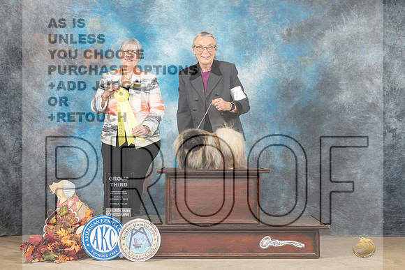 Pekingese #7 Sun G3 Judge Azalea Alvarez-_MJ_9337e_Humble_2022-HR3