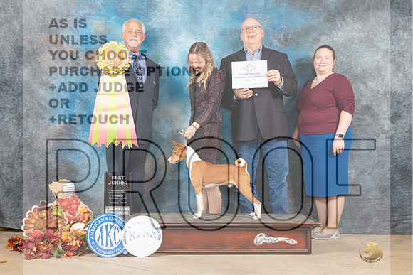 Basenji #J602 Sat Judge Robert Schwalbe-_MJ_8327e_Humble_2022-HR3