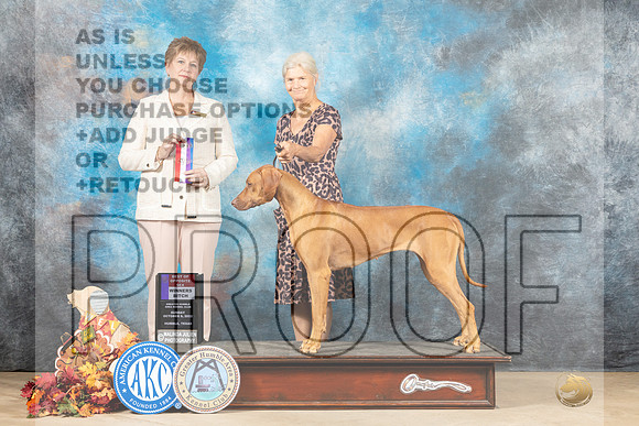 Rhodesian Ridgeback #16 Sun BOSWB Judge Denise Flaim-_MJ_9060e_Humble_2022-HR3