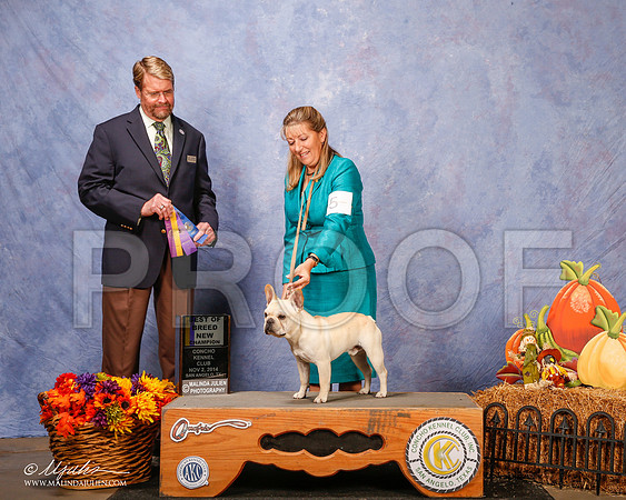 _CL_4600-2-SanAngelo2014-HR3