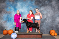 Doberman Pinscher #J500 RBJr Judge Leonore Abordo