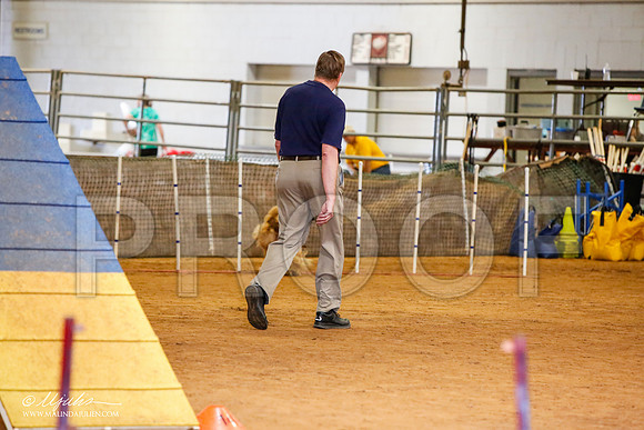 _MJ_2215-AfgBeltonOct2014-HR3