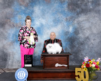 Evelyn Dimas Houston Toy Show 2025