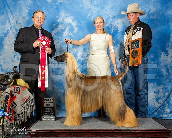 _ST_4571-AfgBeltonOct2014-HR3