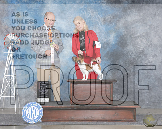 Papillion #8 Fri PBIS Judge John Constantine AmodiPapillion #8 Fri PBIS Judge John Constantine Amodi_WP_9413e-Amarillo 2025-HR3