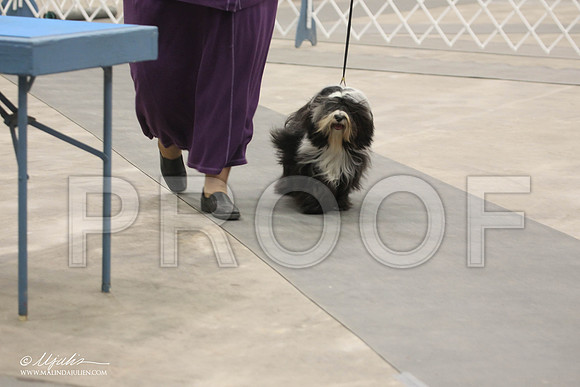 IMG_9531-Abilene2011-HR3