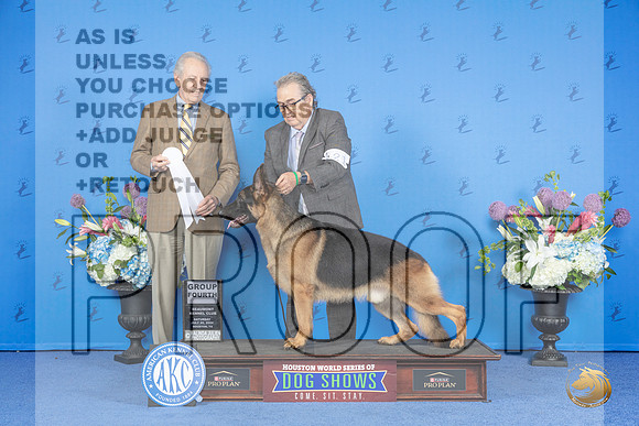 German Shepherd Dog #21 SAT G4 Judge James Moses__JP_0041_Houston_2024_HR3