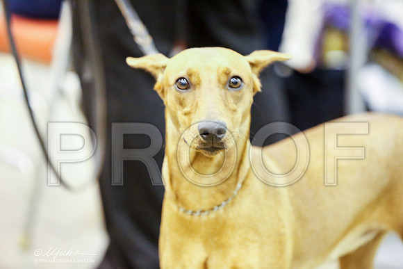 _JJ_6866-HstnJul2014-HR3