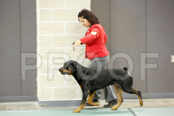 _JN_2127-BeltonJan2015-HR3