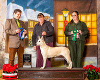 Carolina Dog Sat S2 G2 Carrie Riley