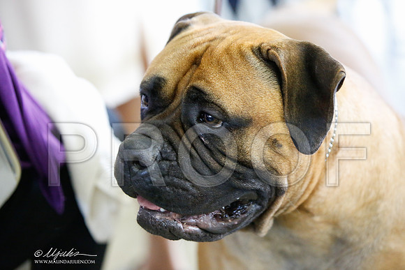 _JJ_3993-DallasJul2014-HR3
