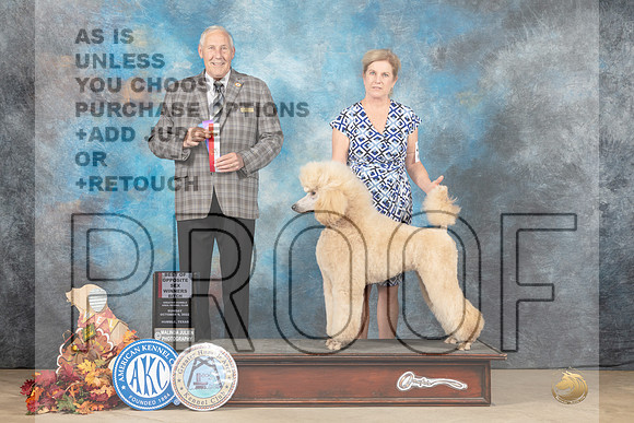 Poodle Std #8 Sun WBBOS Judge Brian Meyers-_MJ_9133e_Humble_2022-HR3
