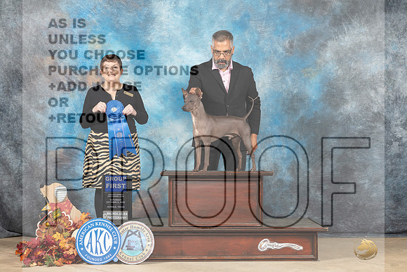 American Hairless Terrier #9 Sat G1 Judge Cindy Meyer r-_MJ_8865e_Humble_2022-HR3