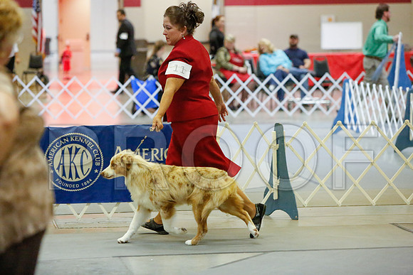 _JJ_2953-AmarilloSept2014-HR3