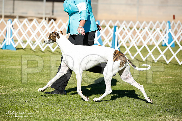 _JN_5649-AlamogordoOct2014-HR3