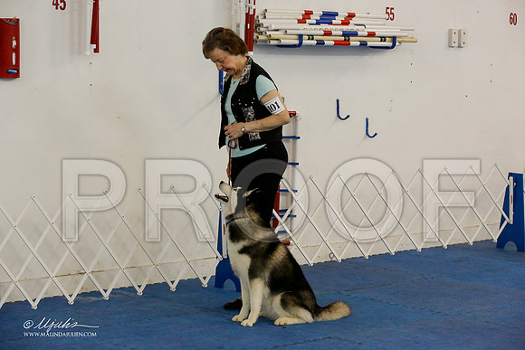 _M3_7722-AddisonHuskyMar2015-HR3