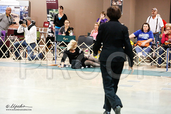 _JJ_9266-ASCACollegeStationNov2014-HR3