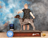 German Shorthaired Pointer #5 Fri G1 Judge Gloria Kerr