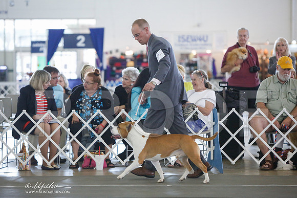 _JJ_3380-DallasJul2014-HR3