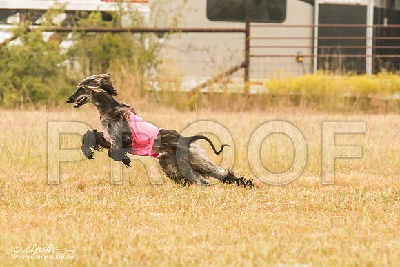 _MJ_3038-AfgBeltonOct2014-HR3