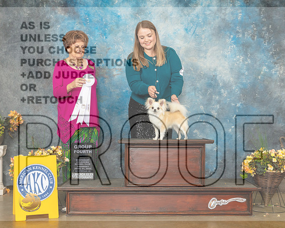 Chihuahua Long Coat #? G4 Judge Carol Jean Nelson-MMJ_9116-NWARK2022-HR3