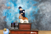 Cavalier King Charles Spaniel # Sat BOWBOBOHBOB Judge Terry Dennison