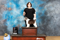 Chinese Crested #5 Sat WDBOS Judge Rodney Herner