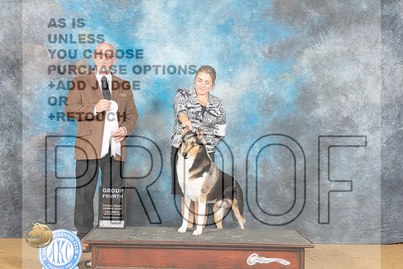Collie Smooth #5 Sat Judge Gary Newton_MJ_0130_TTKC_2022_HR3