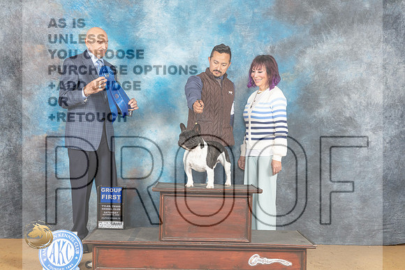 French Bulldog #21 Sat G1 Judge Gary Sparschu_MJ_9944_TTKC_2022_HR3