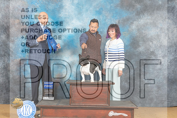 French Bulldog #21 Sat G1 Judge Gary Sparschu_MJ_9949_TTKC_2022_HR3