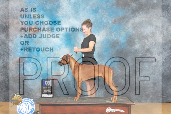 Rhodesian Ridgeback #11 Sat 6to91st Judge Jay Richardson_MJ_9900_TTKC_2022_HR3