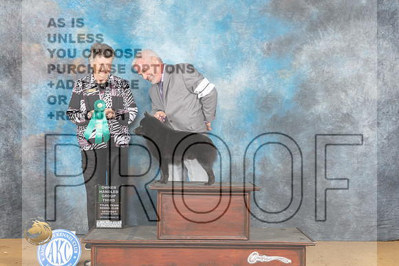 Schipperkee #5 Sat OHG3 Judge Karin Ashe_MJ_9885_TTKC_2022_HR3