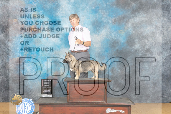 Swedish Vallhund #7 Sat PG1 Judge Gary Sparschu_MJ_9930_TTKC_2022_HR3