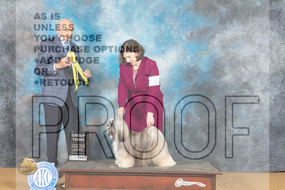 Tibetan Terrier #6 Sat g3 Judge Gary Sparschu_MJ_9940_TTKC_2022_HR3