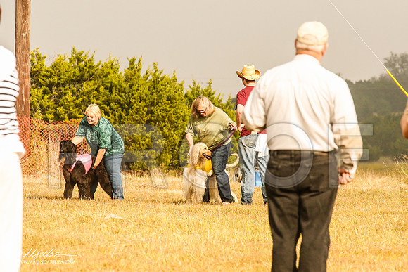_MJ_3778-AfgBeltonOct2014-HR3