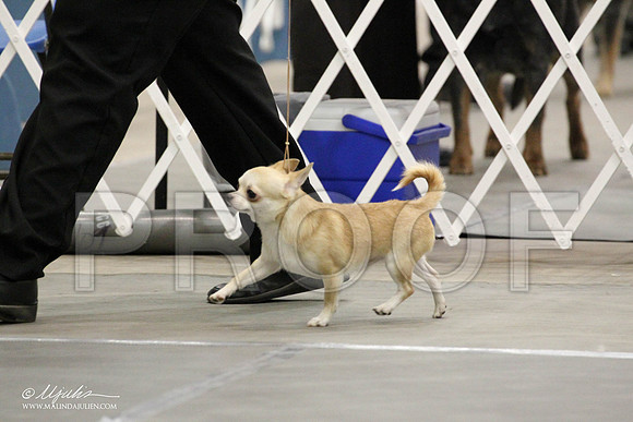 IMG_7279-Abilene2011-HR3
