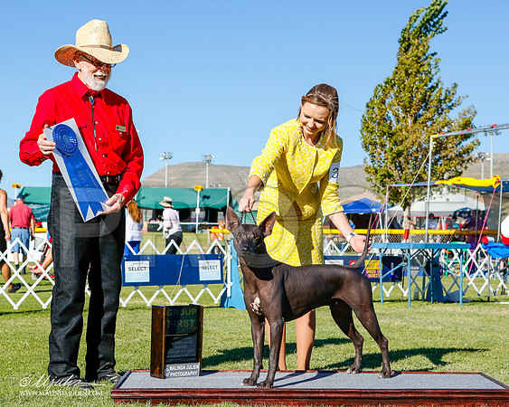 _ST_3346-2-AlamogordoOct2014-HR3