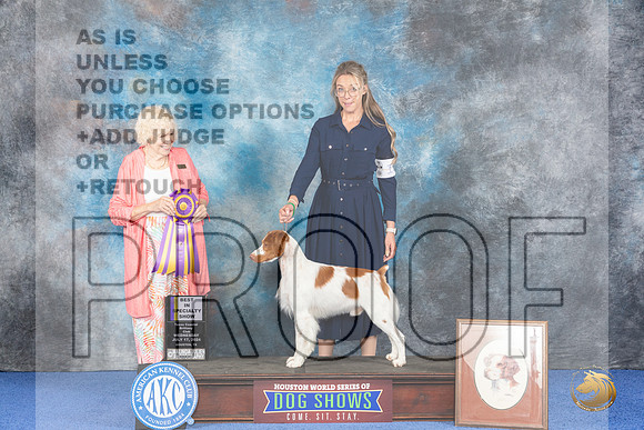 Brittany #15 WED BISS Judge Nancy Liebes__JP_6742_Houston_2024_HR3