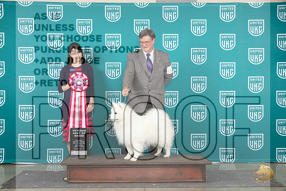 American Eskimo #110 Wed BV Judge Diana Brumbaugh__JP_0598_Premier_2024_HR3