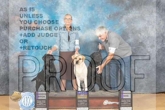 Labrador Retrievers #20 18 15 Sun BOB WB WD Judge Karin Ashe_MJ_0207_TTKC_2022_HR3