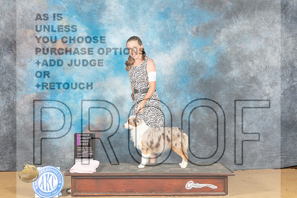 Miniature American Shepherd #6 Sun OHG1 Judge Terry Dennison_MJ_0616_TTKC_2022_HR3