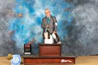 Shih Tzu #5 Sun G2 Judge Gary Sparschu