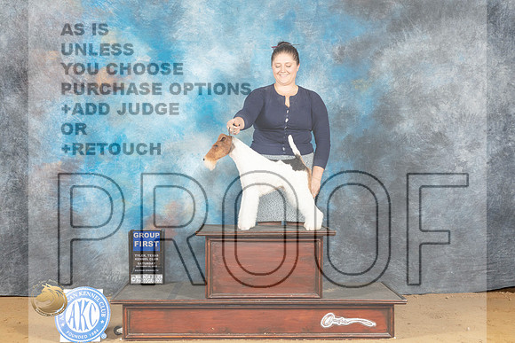 Wirehaired Fox Terrier #5 Sat G1 Judge Jay Richardson r_MJ_0546_TTKC_2022_HR3