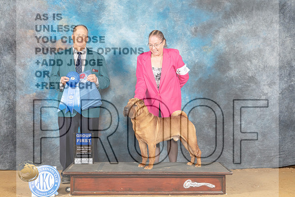 Chinese Shar Pei #9 Sun G1 Judge Jay Richardson_MJ_0772_TTKC_2022_HR3