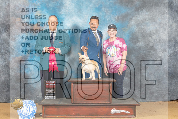 French Bulldog #8 Sun G2 Judge Jay Richardson_MJ_0731_TTKC_2022_HR3